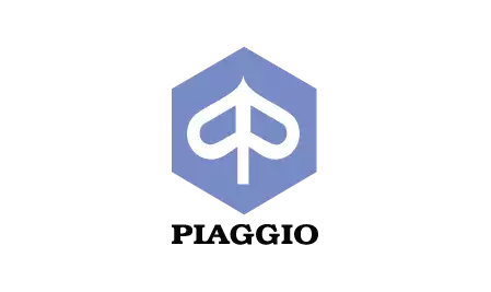 Partner bikeAngel - Plaggio